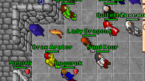 Lady Dragons on screen