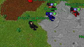 Drizer on Aldora on screen