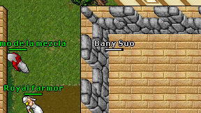 Bany Suo on screen
