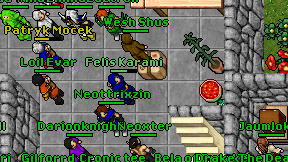 Felis Karami on screen