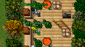 Mary Shantily on screen