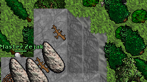 Master Zejak on screen