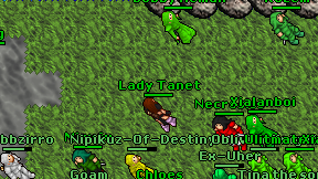 Lady Tanet on screen