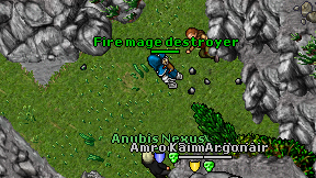 Fire mage destroyer on screen