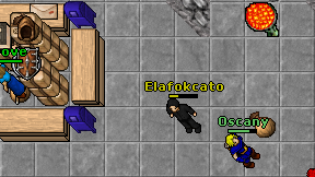 Elafokcato on screen
