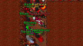 Tomtebruz on screen