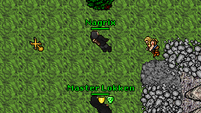 Nagrix on screen
