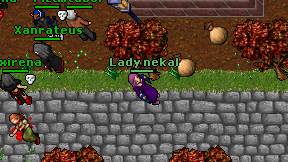 Lady nekal on screen