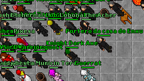 Knight Dark Axe on screen