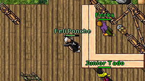 Feli Ponche on screen