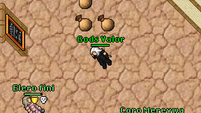 Gods Valor on screen