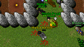 Hyba Henio on screen