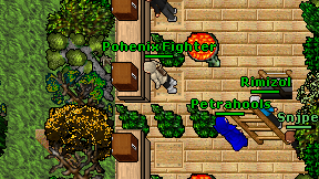 Pohenix Fighter on screen