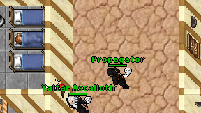 Propagator on screen