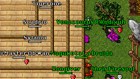 Tigerone on screen