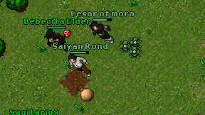 Cesar of mora on screen