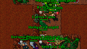 Hellgate Knight on screen