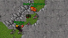 Bolts'Masters on screen