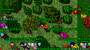 Sifudimo on screen