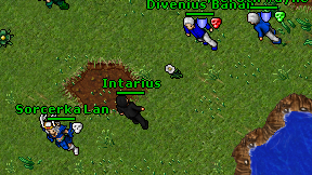 Intarius on screen