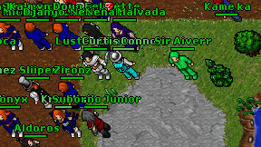 Sir Aiverr on screen