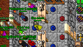 Swalon on screen