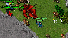 Susus Spix on screen