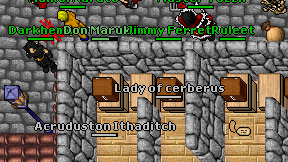 Lady of cerberus on screen