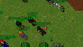 Mestaren on screen