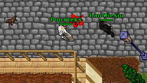 Pon kleks on screen