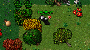 Xoldhoz on screen