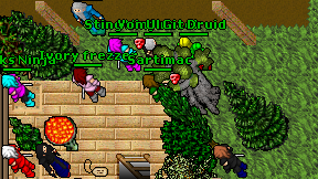 Sartimac on screen