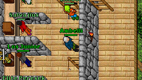 Ambelli on screen