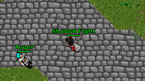 Shadow Fight on screen