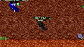Bud Mark on screen