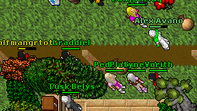 Golfmangrtoter on screen