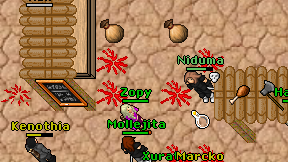 Niduma on screen