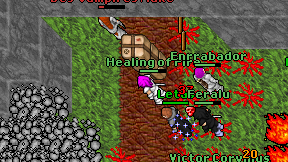 Healing of Fire on screen