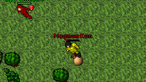 Magnun Kun on screen