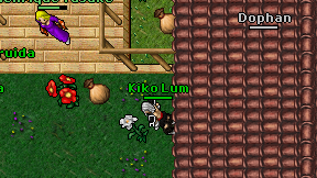 Kiko Lum on screen