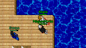 Sigis on screen