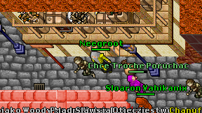 Neegroot on screen