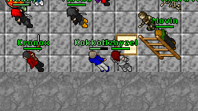 Kokkoboko on screen