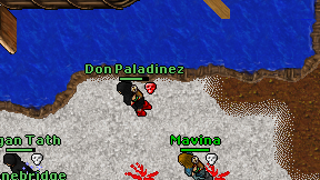 Don Paladinez on screen