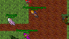 Paladinanegra on screen