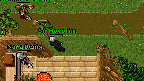 Sir Hovofim on screen