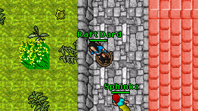 Raft Dard on screen