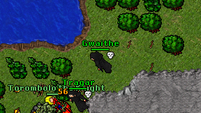 Gwaithe on screen