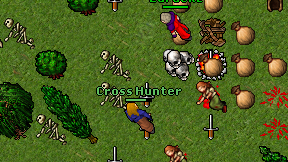 Cross Hunter on screen