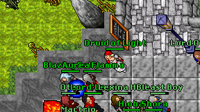 Druid of Light on screen